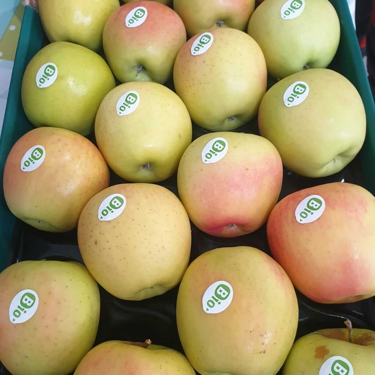 Manzana ecológica recién recolectada en Biosanz Organic
